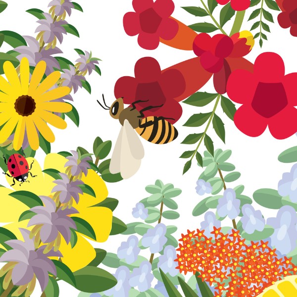 Illustration of bee and ladybug on red, yellow, and blue flowers
