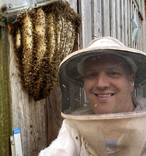 What Do Beekeepers Do in Spring? - PetHelpful